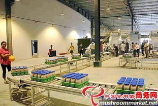 河北光明食品集團臨西縣食用菌工廠化建設項目圓滿竣工，助力現代農業發展